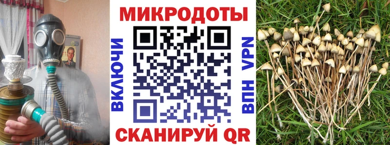 цены блэк спрут маркетплейс Псилоцибиновые грибы ЛСД Кяхта